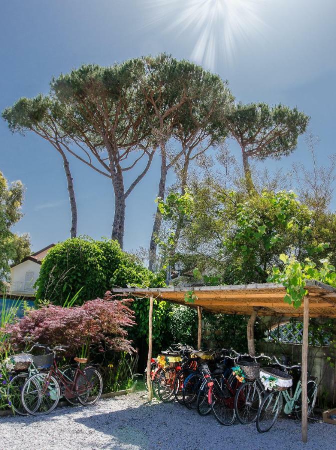 B&B Due Passi Dal Mare Cinquale Exterior foto
